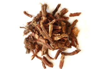 Red Sage vs Garlic Supplement: How Standardization Differs
